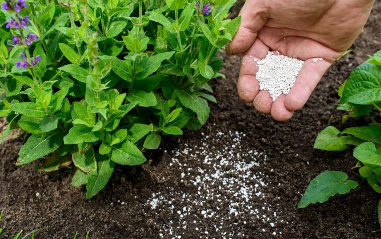 Fertilizing-plants-0440837aeee64749832645ba62572f95