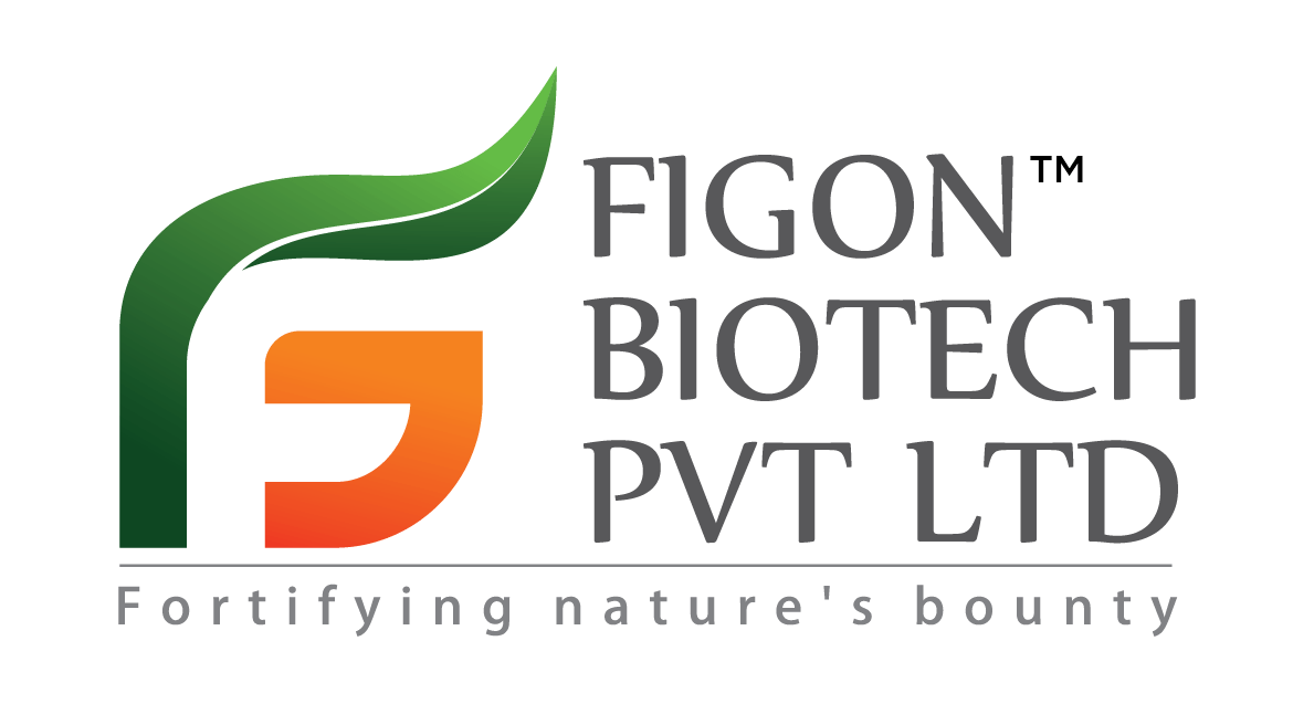 Figon Biotech Logo